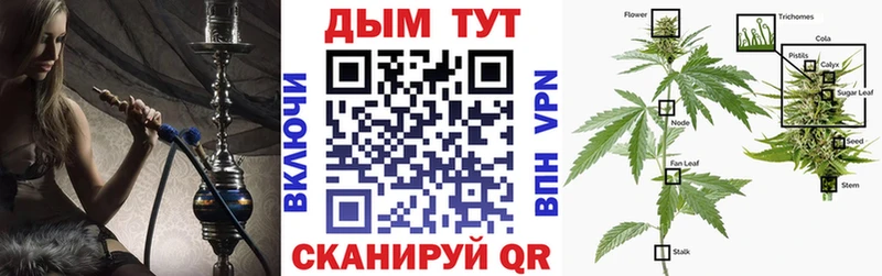 Где купить наркоту Красный Холм Бошки Шишки  Меф  АМФЕТАМИН  ГАШ 