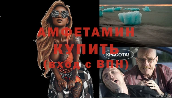 амф Майский