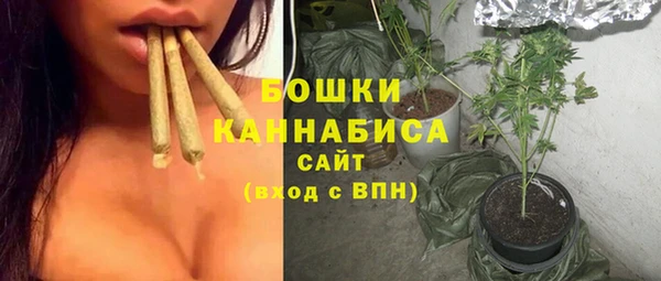 амф Майский